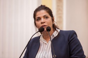 Reunião Plenária - Dep. Socorro Pimentel
