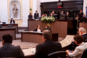 Segurança pública domina discussões em Reunião Plenária. Foto: Rinaldo Marques. 