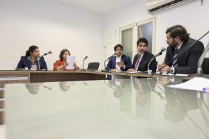 COMPOSIÇÃO - Colegiado definiu presidente, vice-presidente e relator, e agendou a primeira audiência pública. Foto: Rinaldo Marques