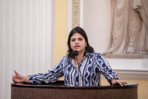 08-16-plenaria-priscila-krause-hg-47
