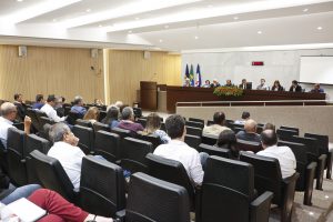 Audiência Pública da Frente Parlamentar em Defesa da Engenharia, Agronomia e Tecnologia