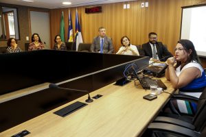 Reunião Ordinária da Frente Parlamentar da Pessoa Idosa - Renata Guedes