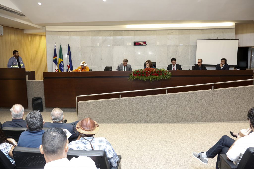 DEBATE - Possível venda da companhia pernambucana foi alvo de Grande Expediente Especial, solicitado por Teresa Leitão. Foto: Roberto Soares