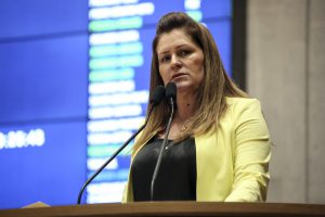 Reunião Plenária - Dep. Roberta Arraes