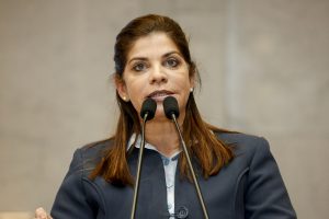 Reunião Plenária - Dep. Socorro Pimentel