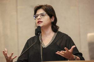 02-28-reuniao-plenaria-priscila-krause-rs-2-2