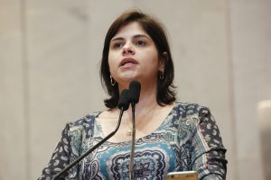 Reunião Plenária - Dep. Priscila Krause