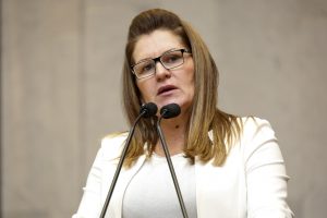 03-19-reuniao-plenaria-roberta-arraes-rs-2