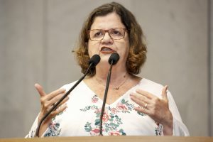 Reunião Plenária - Dep. Teresa Leitão