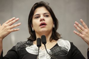 Reunião Plenária - Dep. Priscila Krause