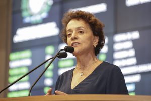 Reunião Plenária