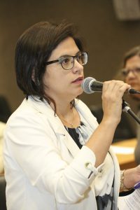 Reunião Plenária