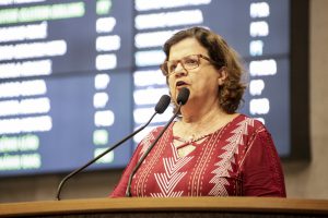 Reunião Plenária - Dep. Teresa Leitão