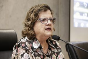 Audiência Pública da Comissão de Educação - Dep Teresa Leitão