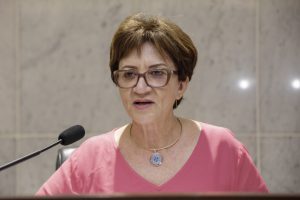 Audiência Pública da Comissão de Educação - Zelia Porto