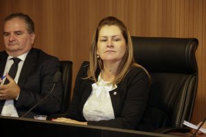 Audiência Pública da Comissão de Saúde - Dep Roberta Arraes