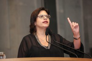 PRISCILA - “De maneira absolutamente unilateral, o Governo retirou a totalidade do apoio que dava”, alegou. Foto: Roberto Soares