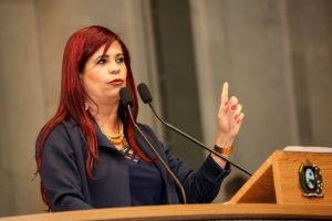 Reunião Plenária - Dep. Delegada Gleide Ângelo