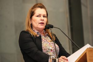 03-25-reuniao-plenaria-roberta-arraes-rs-1