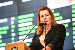 RECURSOS - Deputada também informou ter destinado emenda parlamentar no valor de R$ 200 mil para a Secretaria da Mulher. Foto: Roberto Soares