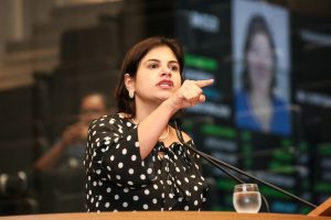 Reunião Plenária - Dep. Priscila Krause