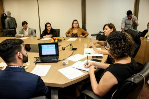 ANÁLISE - Parlamentares apontaram a necessidade de fortalecer o trabalho em rede, a interligação das bases de dados dos programas governamentais e o diálogo interinstitucional. Foto: Jarbas Araújo