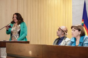 PERDAS - Reitora do IFPE, Anália Ribeiro contabilizou que “38,95% do orçamento de custeio está bloqueado”. Foto: Nando Chiappetta