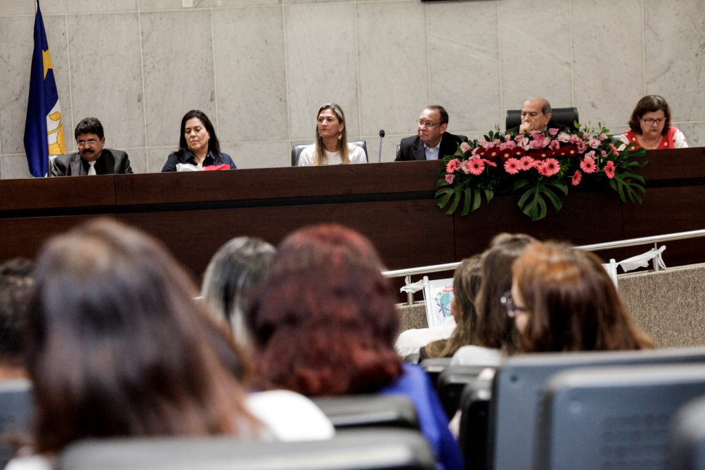 OBJETIVO - Representantes de associações e entidades sindicais e representativas apresentaram demandas para que as proteções previstas em lei sejam efetivadas no Estado. Foto: Nando Chiappetta