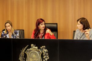 CONTEÚDO - Matérias prevêem prioridade na emissão de documentos e obrigatoriedade de denúncia por parte de condomínios em casos de agressão. Foto: nando Chiappetta