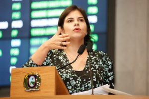 05-08-reuniao-plenaria-priscila-krause-rs-3