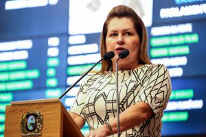 Reunião Plenária - Dep. Roberta Arraes