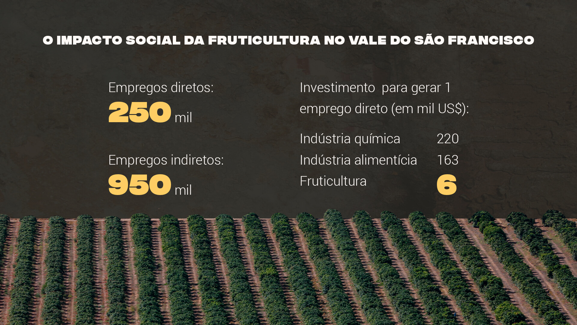 Fonte: Valexport