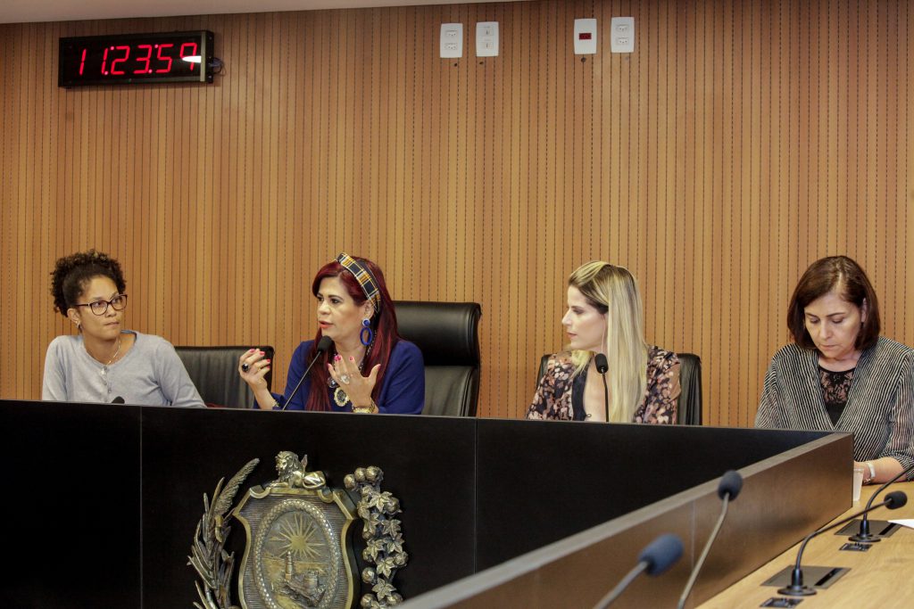 Comissão Defesa da Mulher