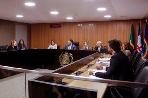 META - Objetivo é cobrar do Poder Público providências com relação às demandas identificadas pelo colegiado. Foto: Giovanni Costa