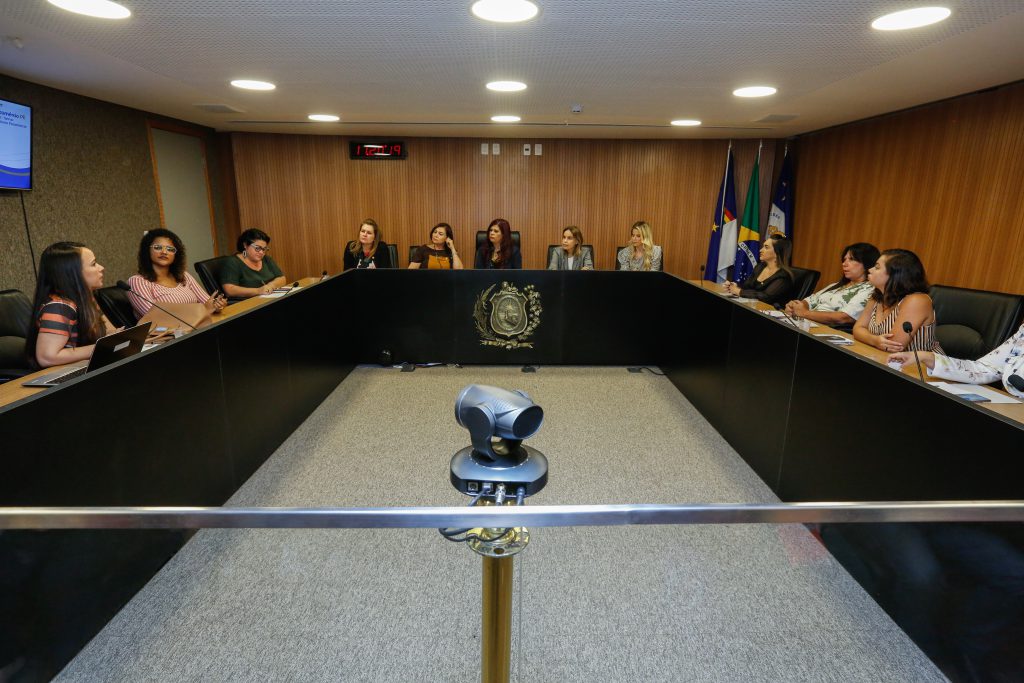 Comissão em Defesa dos Direitos da Mulher