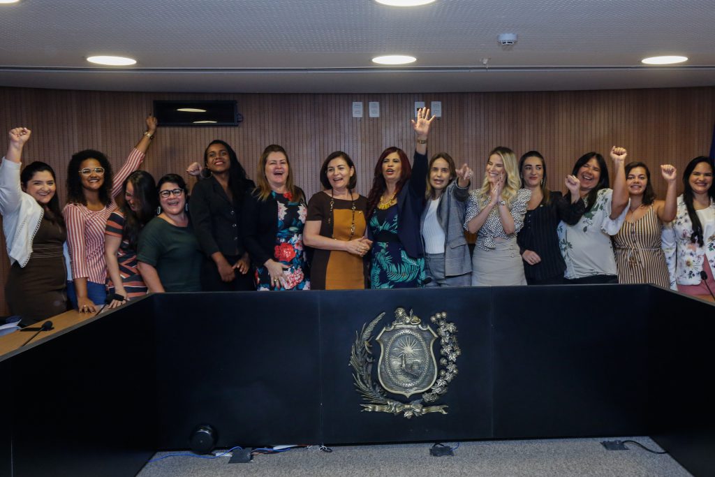 REPRESENTATIVIDADE - Fruto das eleições de 2018, a composição da Assembleia permitiu que, pela primeira vez, apenas mulheres ocupassem todas as vagas de titulares e suplentes no colegiado. Foto: Roberta Guimarães