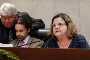 APOIO - Deputada Teresa Leitão disse que Alepe deve participar das mobilizações contra a privatização de Serpro e Dataprev. “E vamos pedir que o assunto seja levado ao Consórcio Nordeste”, complementou. Foto: Evane Manço