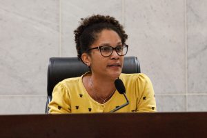 META - “Vamos conversar com os outros integrantes sobre audiências públicas nos territórios, e não apenas na sede da Alepe”, anunciou Jô Cavalcanti, titular do mandato das Juntas e presidente do colegiado. Foto: Evane Manço