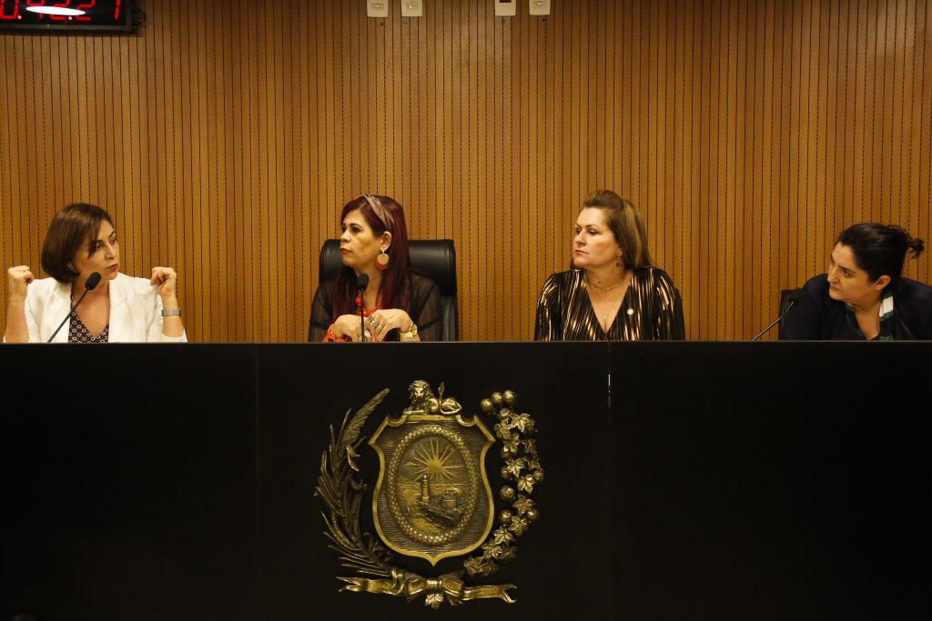 PRIORIDADE - Comissão da Mulher aprovou PL que destina parte dos recursos do Fundo Estadual de Habitação para esse segmento. Foto: Roberta Guimarães