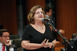 DISCUSSÃO - Para Teresa Leitão, matéria é omissa quanto à natureza da empresa. “Não diz se será privada ou pública.” Foto: Roberto Soares