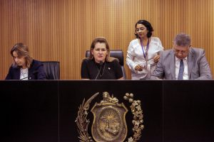 CUSTOS - De acordo com o PL 727/2019, profissionais serão livremente escolhidos e terão seus honorários pagos pelas gestantes e parturientes. Foto: Evane Manço