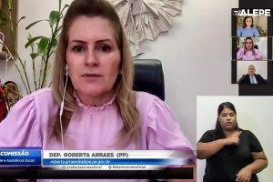 Foto da deputada falando em reunião remota da comissão
