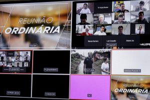 Foto mostra várias telas de deputados participando de reunião virtual de comissão
