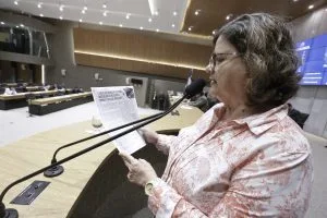 Reunião Plenária - Dep. Teresa Leitão