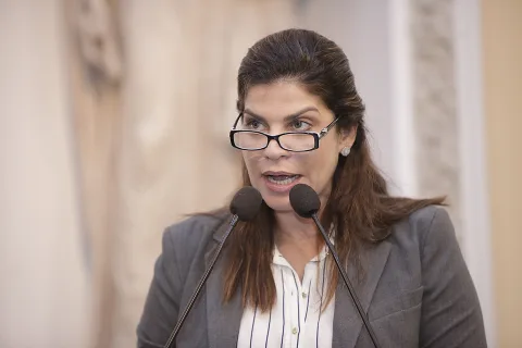 REQUERIMENTO - Criação do colegiado foi proposta pela deputada Socorro Pimentel. Foto: Roberto Soares