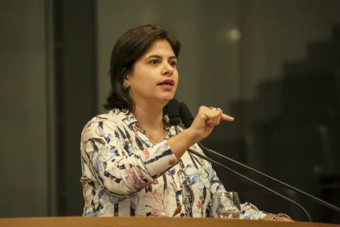 CRÍTICA - Para Priscila Krause, medida “mascara” um aumento da carga tributária no Estado. Foto: Jarbas Araújo