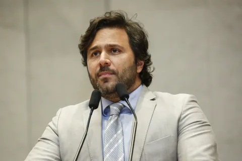 Reunião Plenária