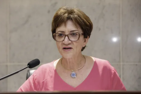 Audiência Pública da Comissão de Educação - Zelia Porto