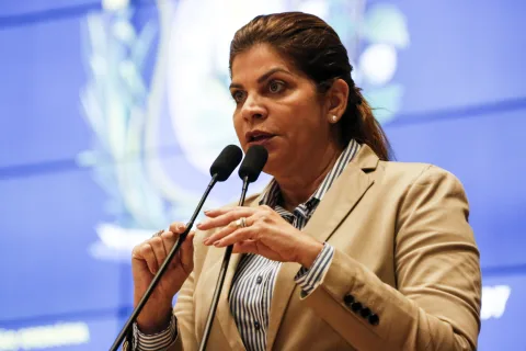 ARBOVIROSE - Surto de microcefalia foi lembrado por Socorro Pimentel para reforçar necessidade de prevenção. Foto: Jarbas Araújo