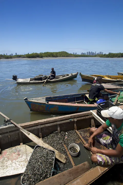 CONVÍVIO - Comunidade de pescadores em que foi gravado videoclipe A Cidade quer ampliar conscientização sobre ecossistema e dinâmicas sociais.